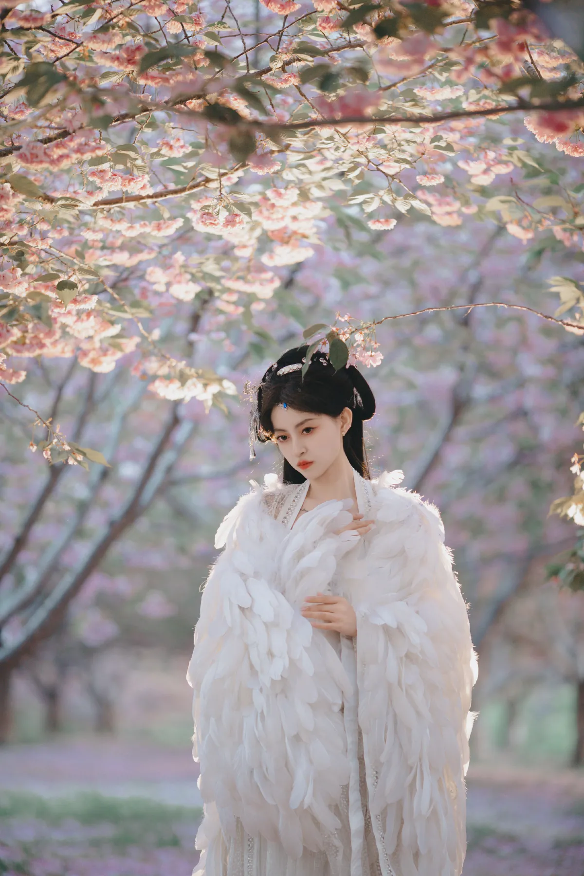 白凤