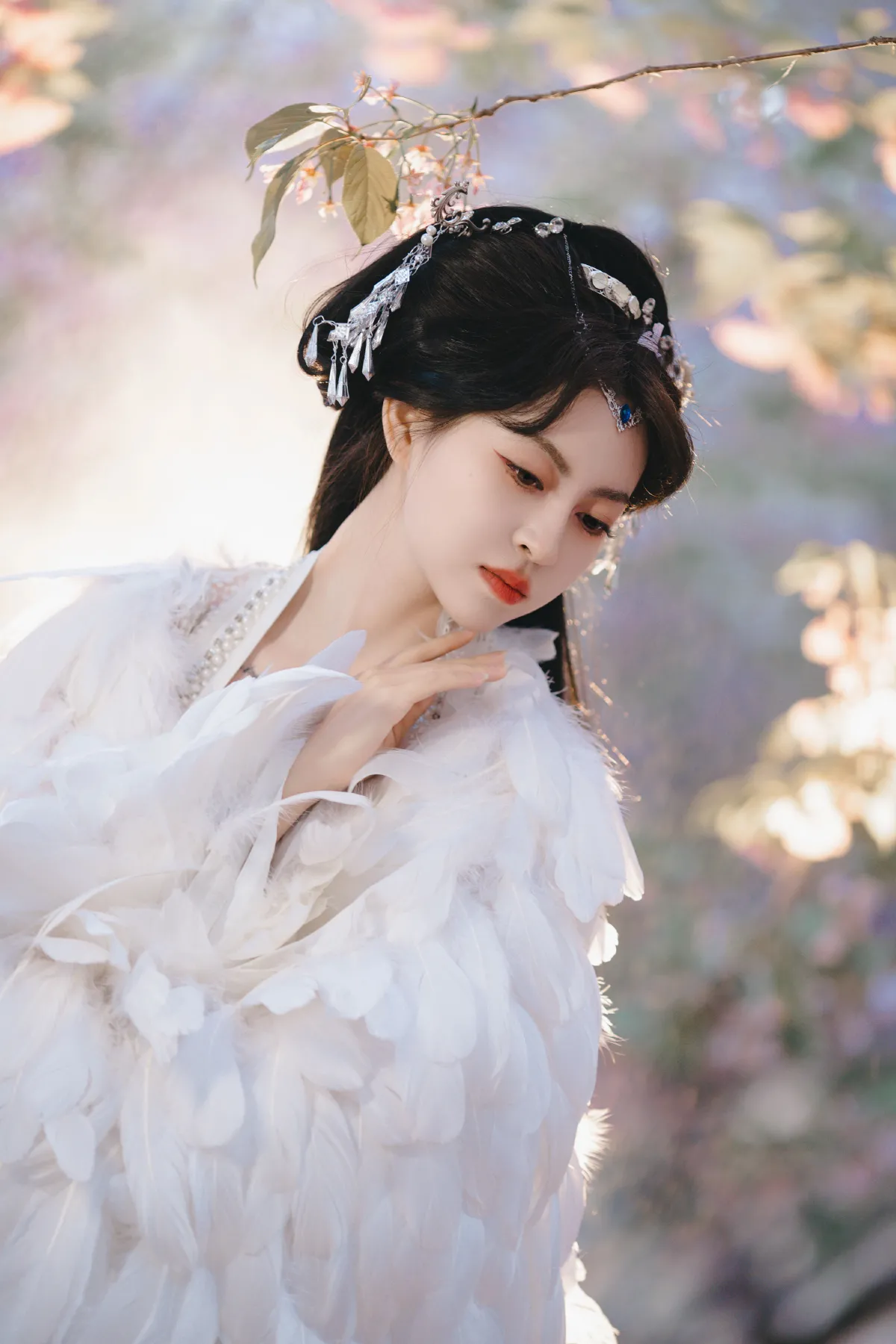 白凤