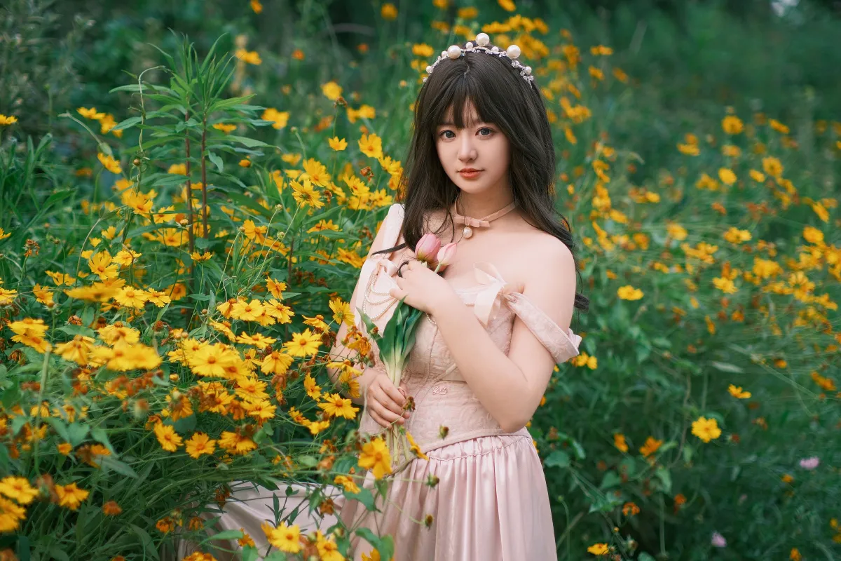 雏菊海1