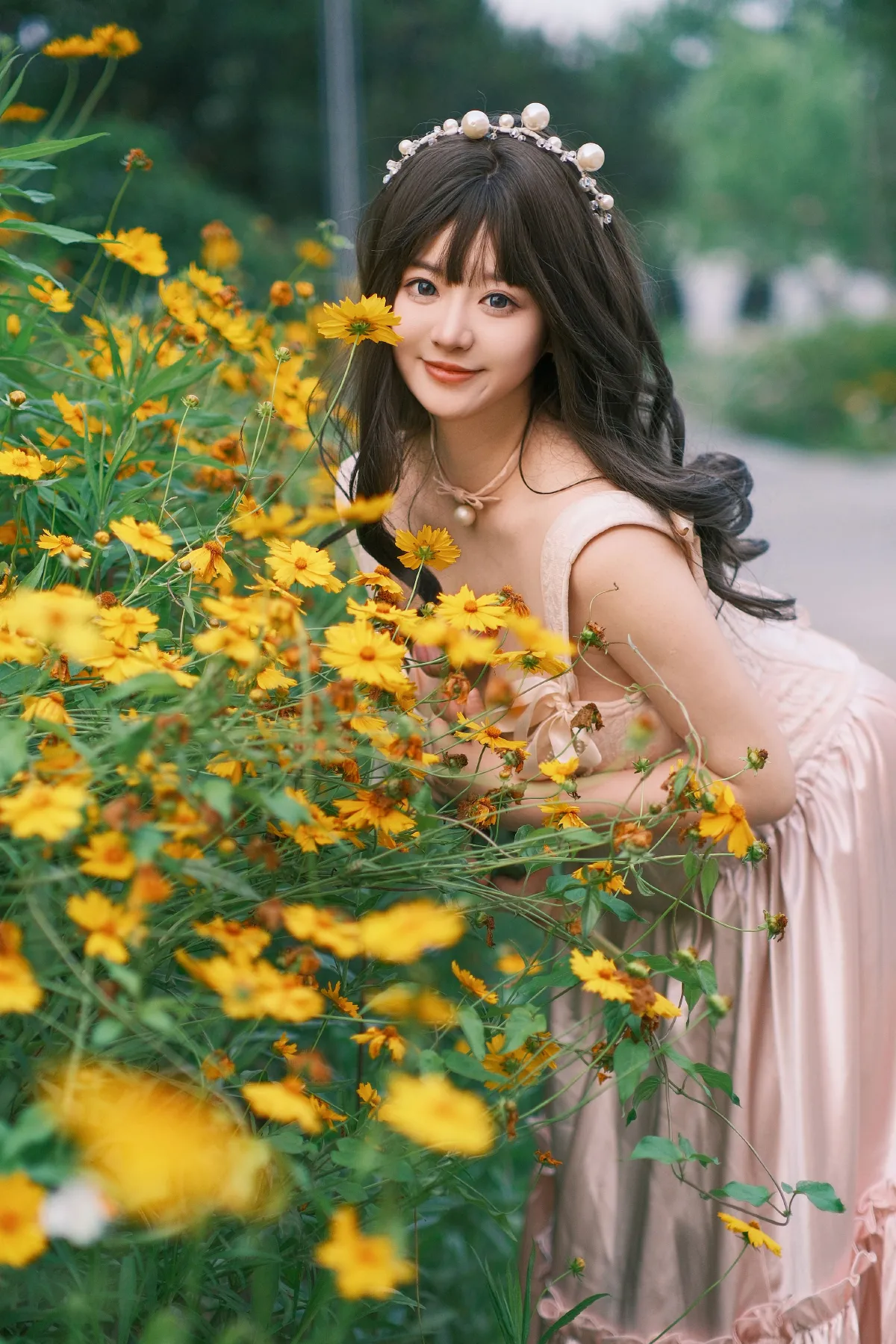 雏菊海