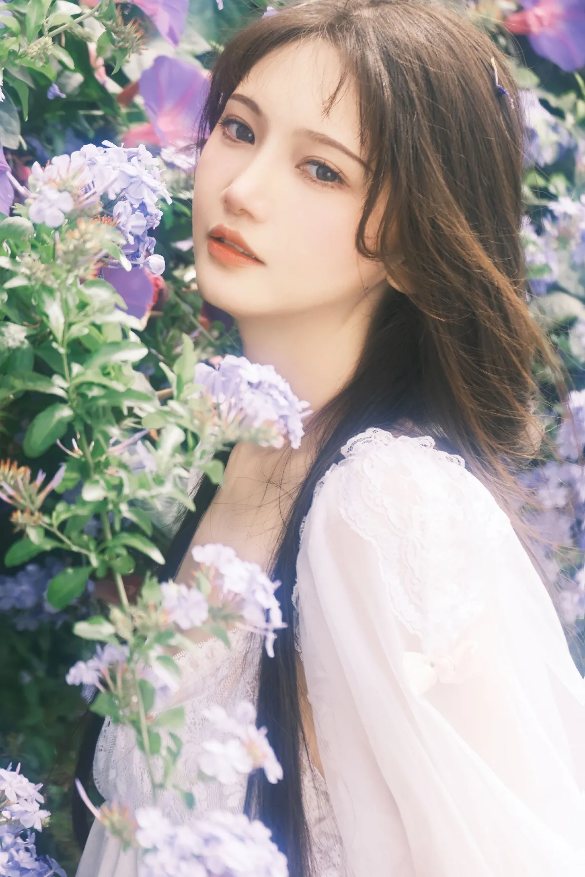 蓝雪花1