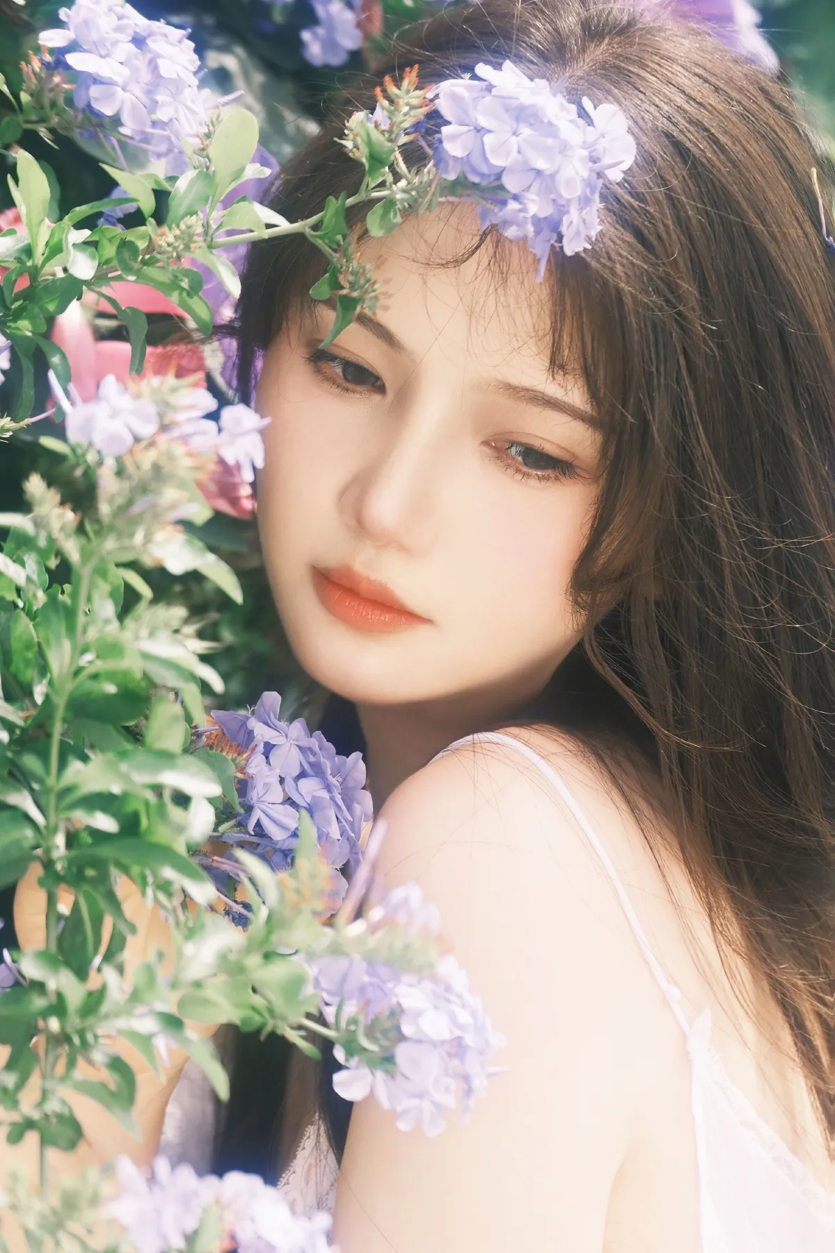 蓝雪花3