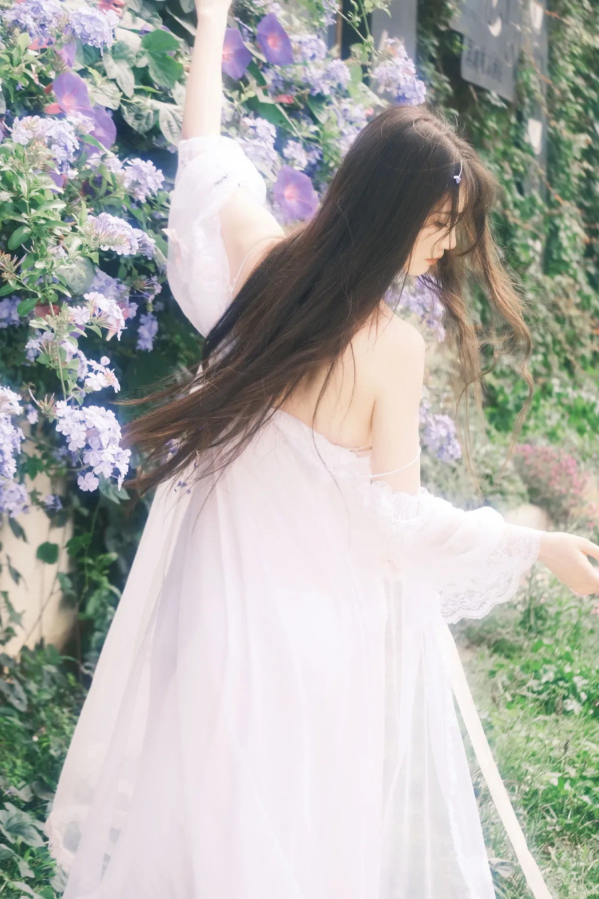 蓝雪花