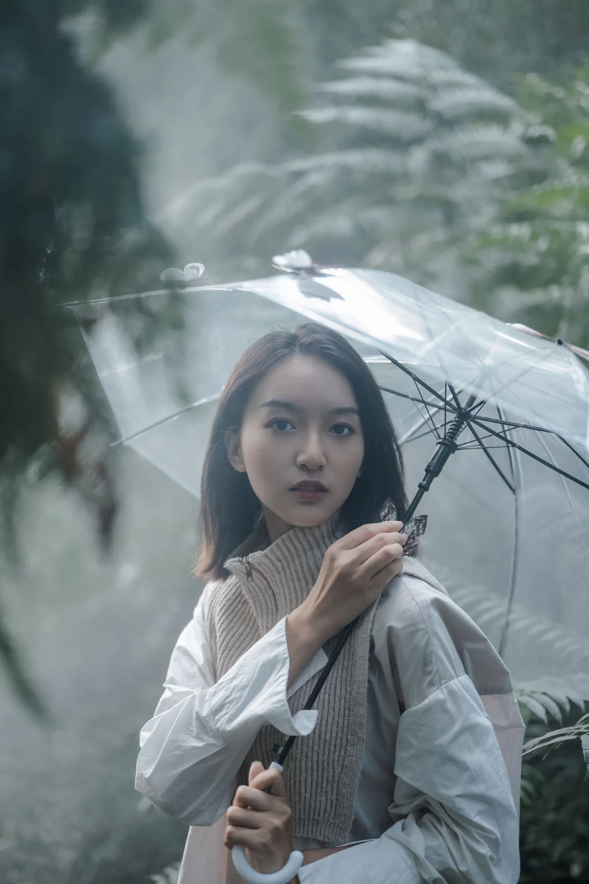 扶桑大红花_山间雾时雨《你永远在光里》美图作品图片4