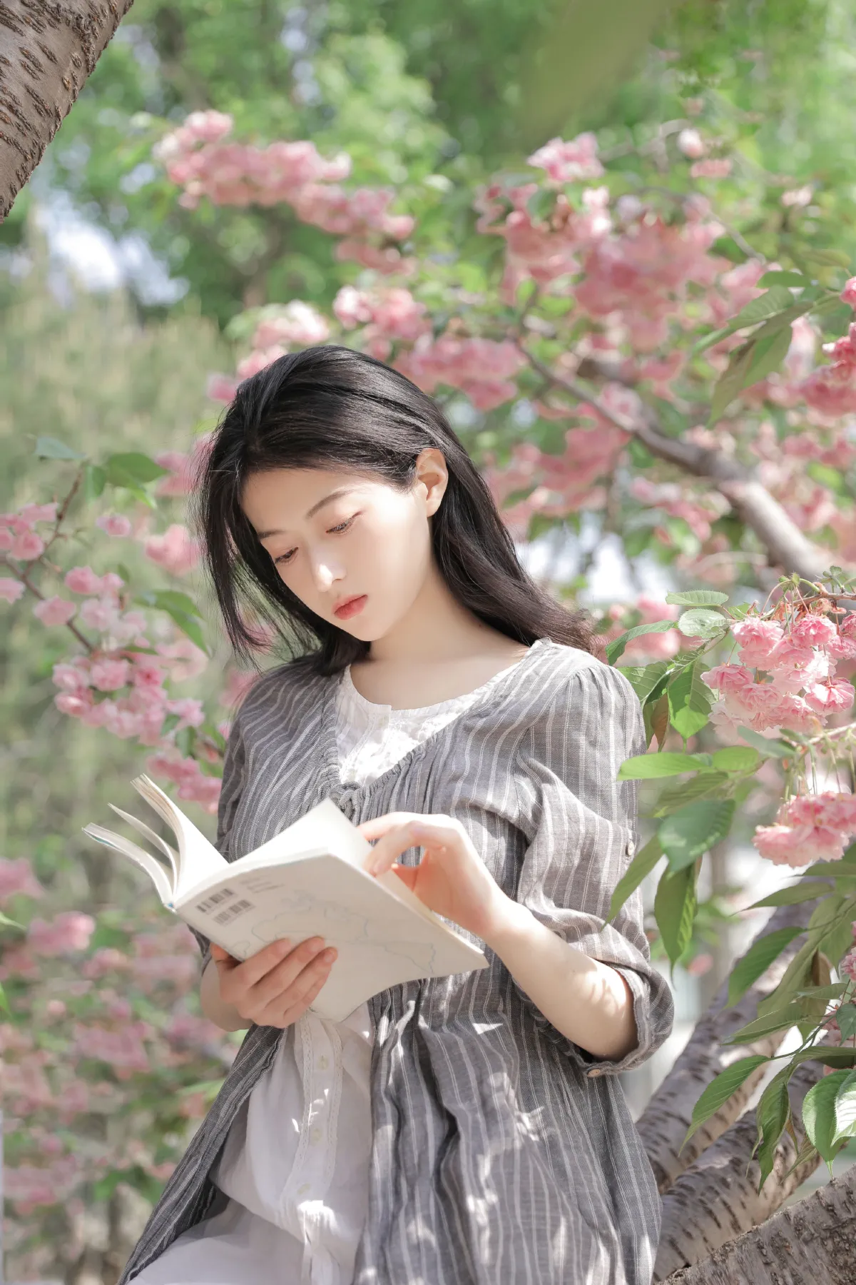 落花有时3