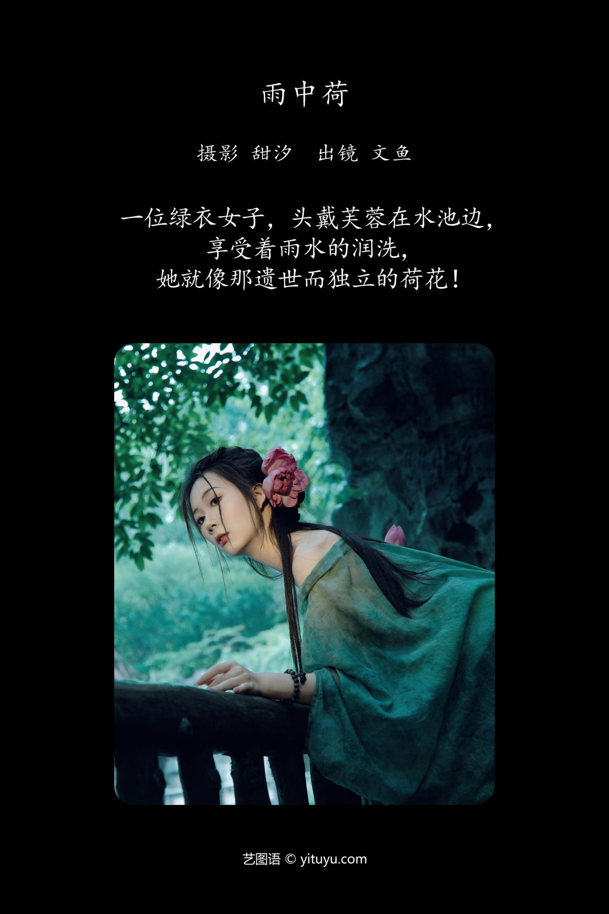 甜汐_文鱼《雨中荷》美图作品图片2