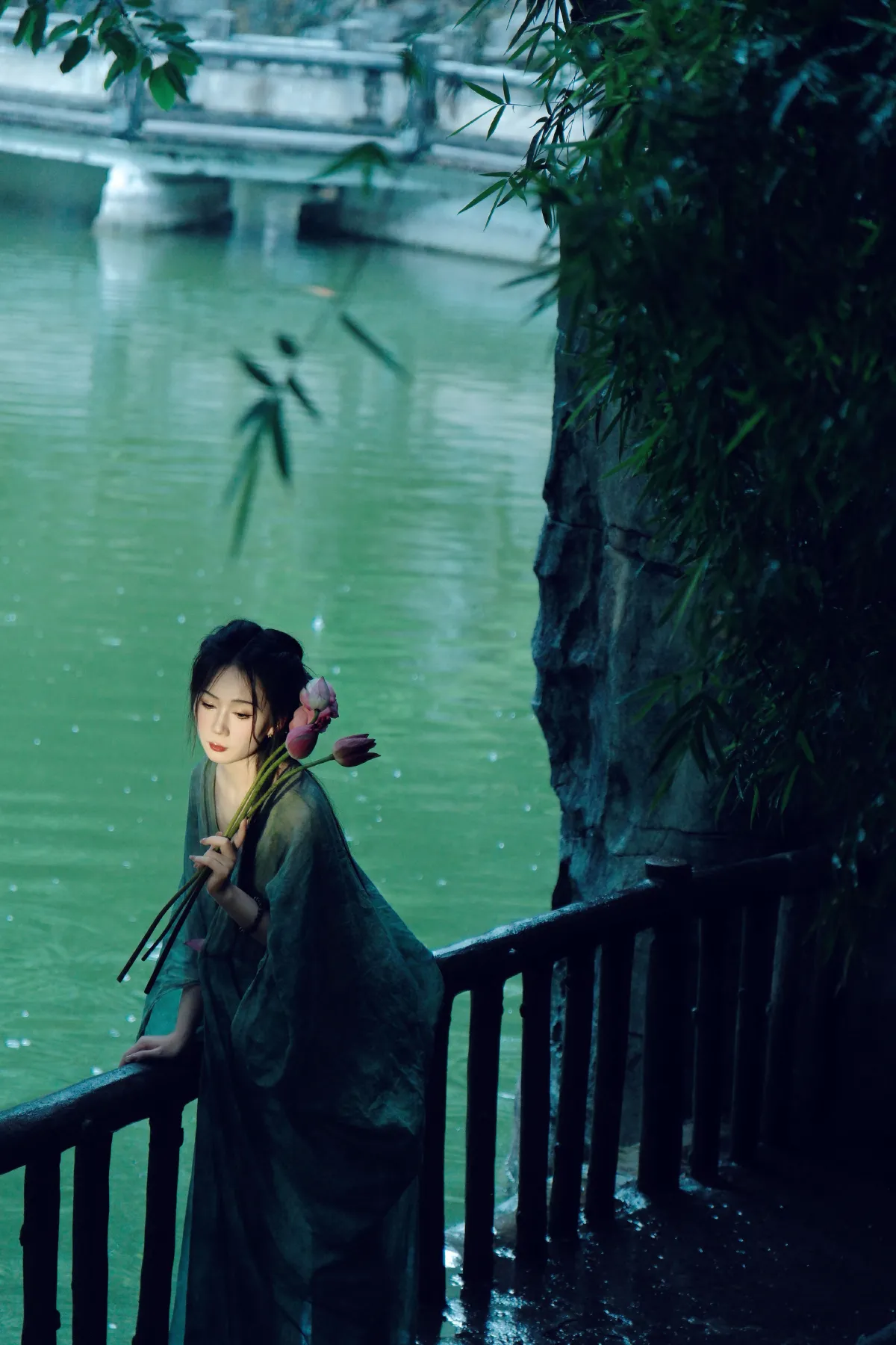 雨中荷3