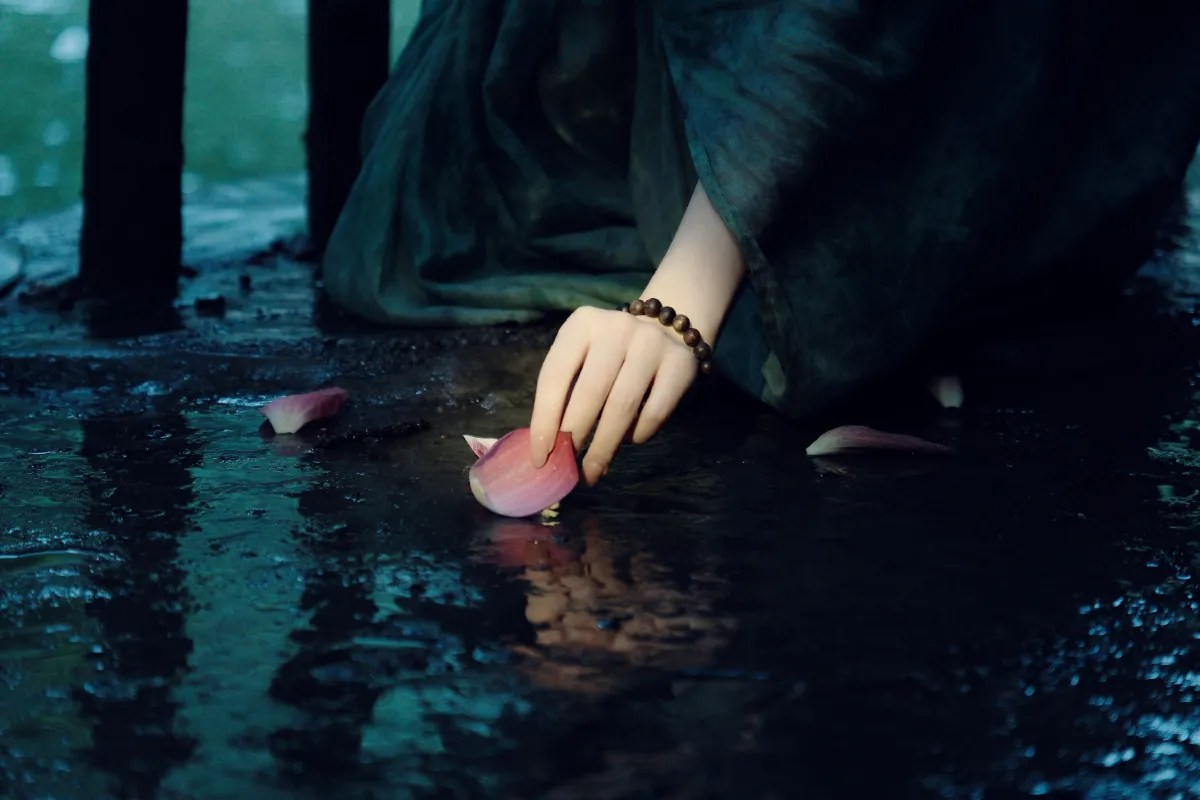 雨中荷4