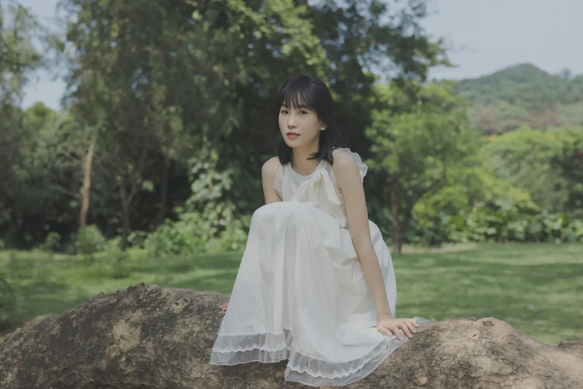 绿野仙踪1