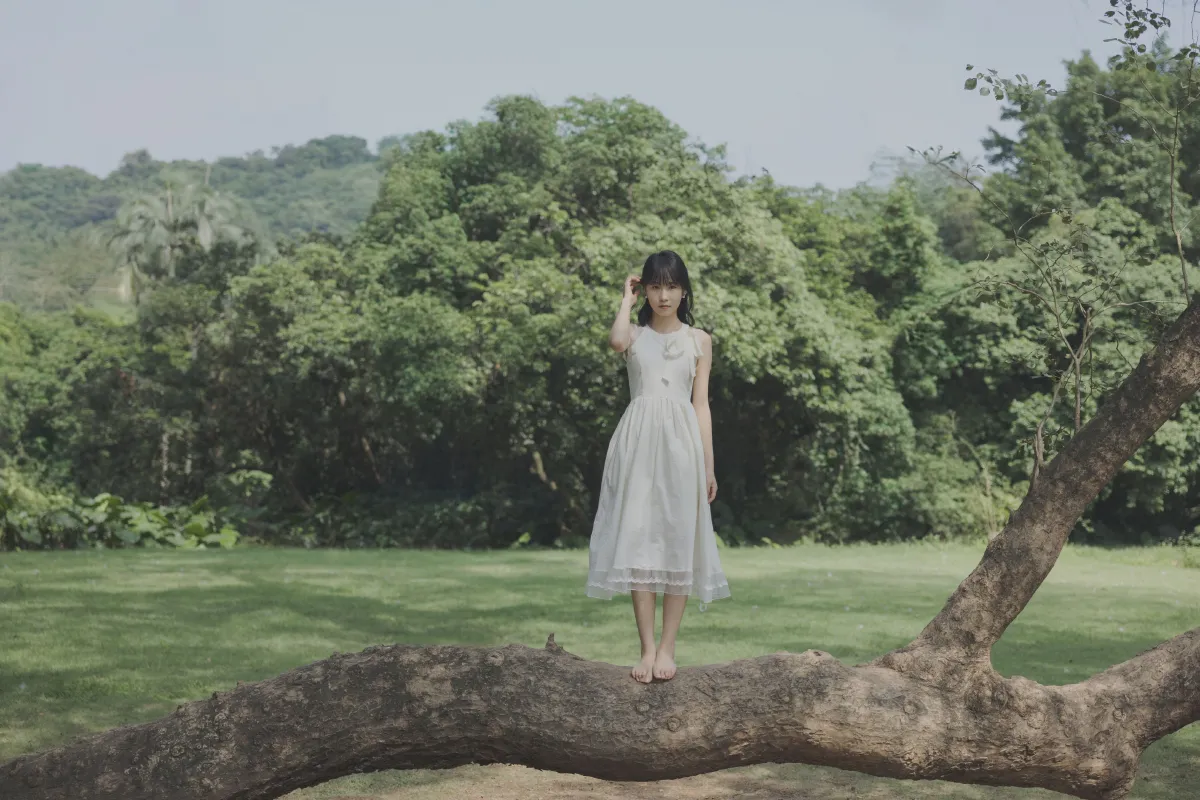 绿野仙踪2
