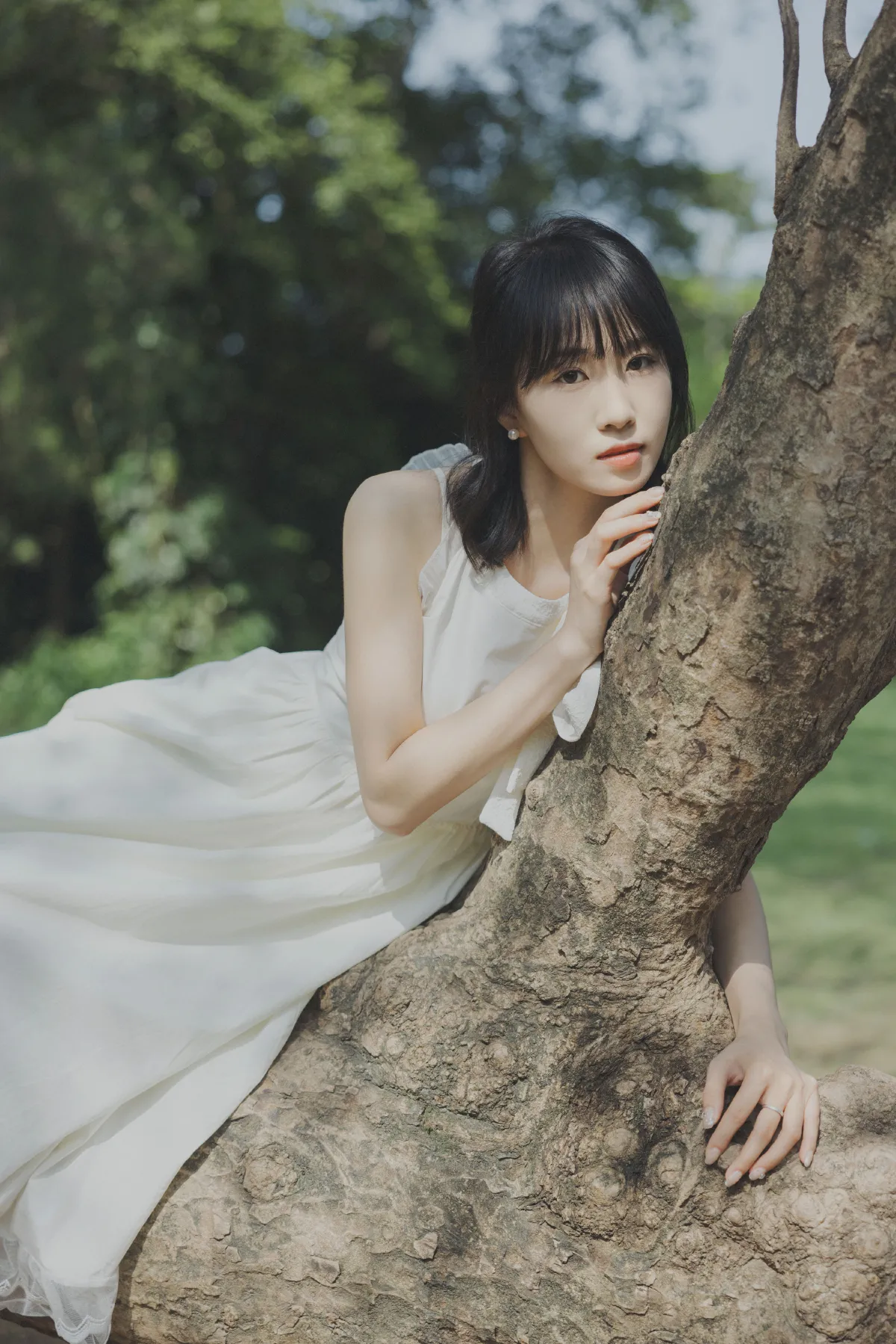 绿野仙踪