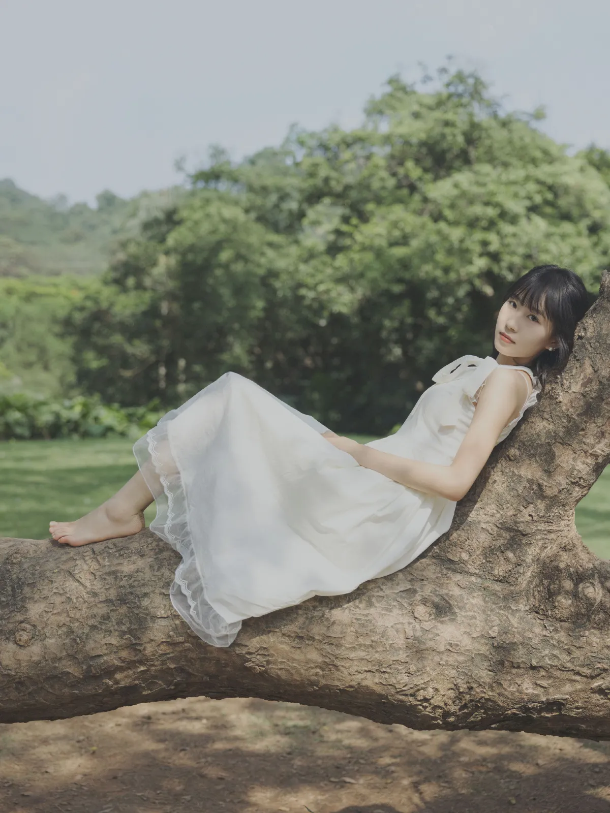 绿野仙踪3