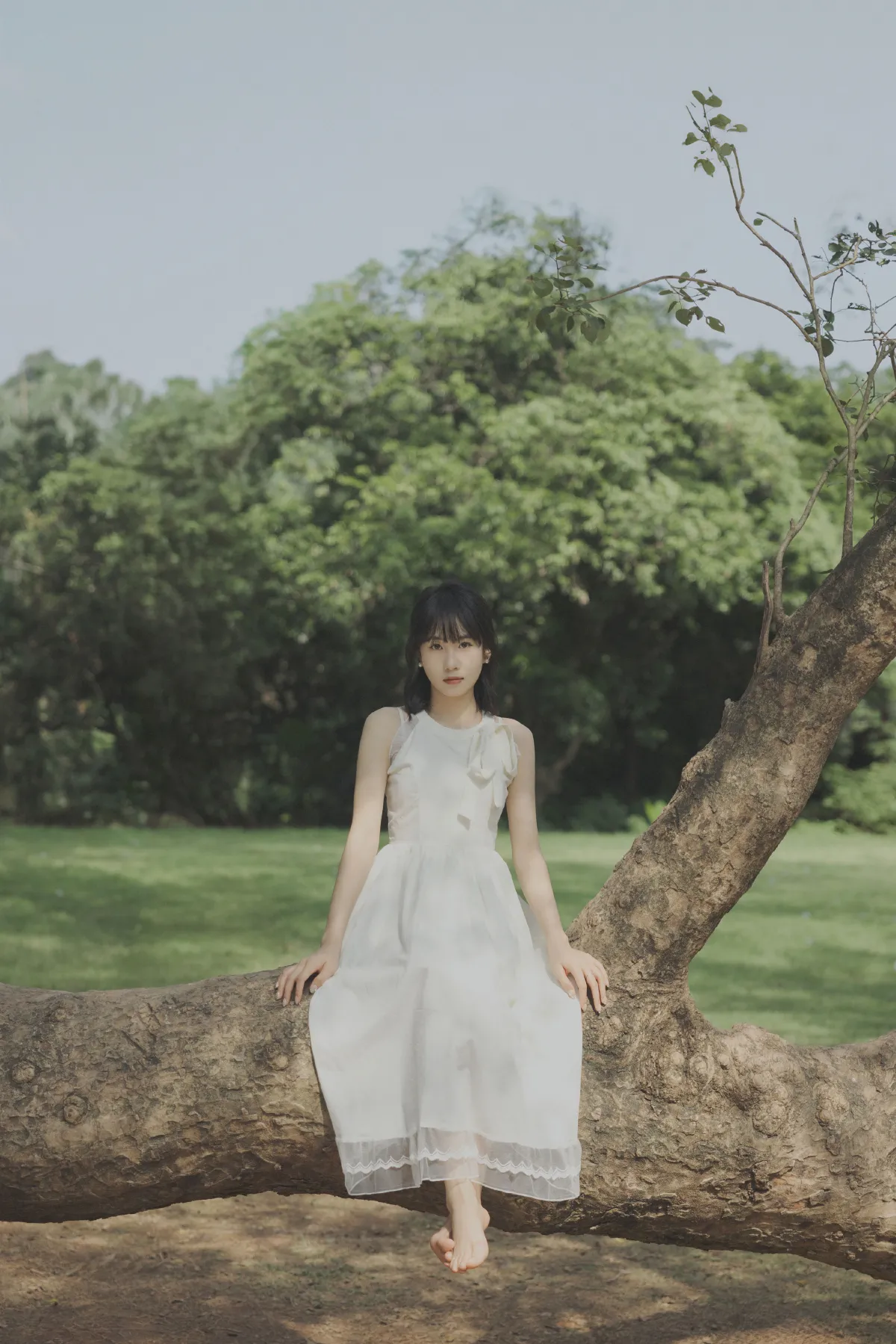 绿野仙踪