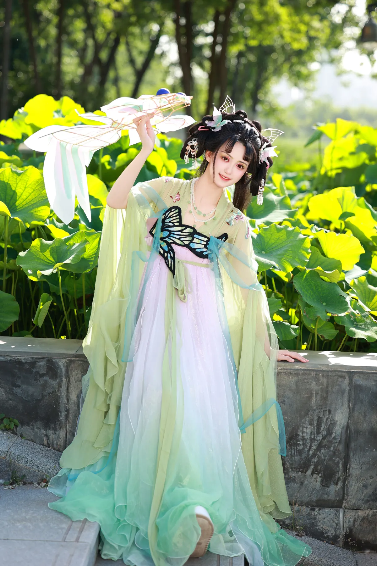 荷与蝶