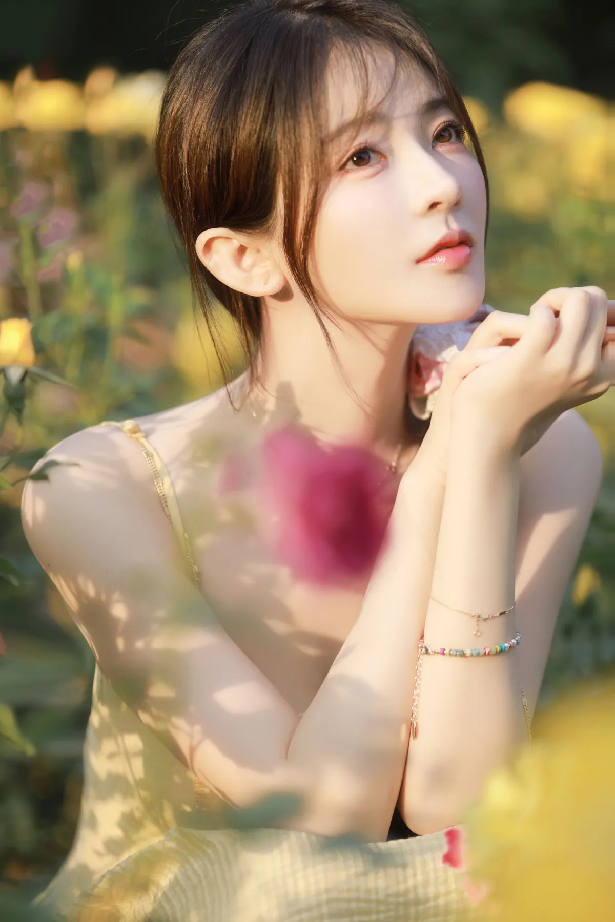 莫奈花园2