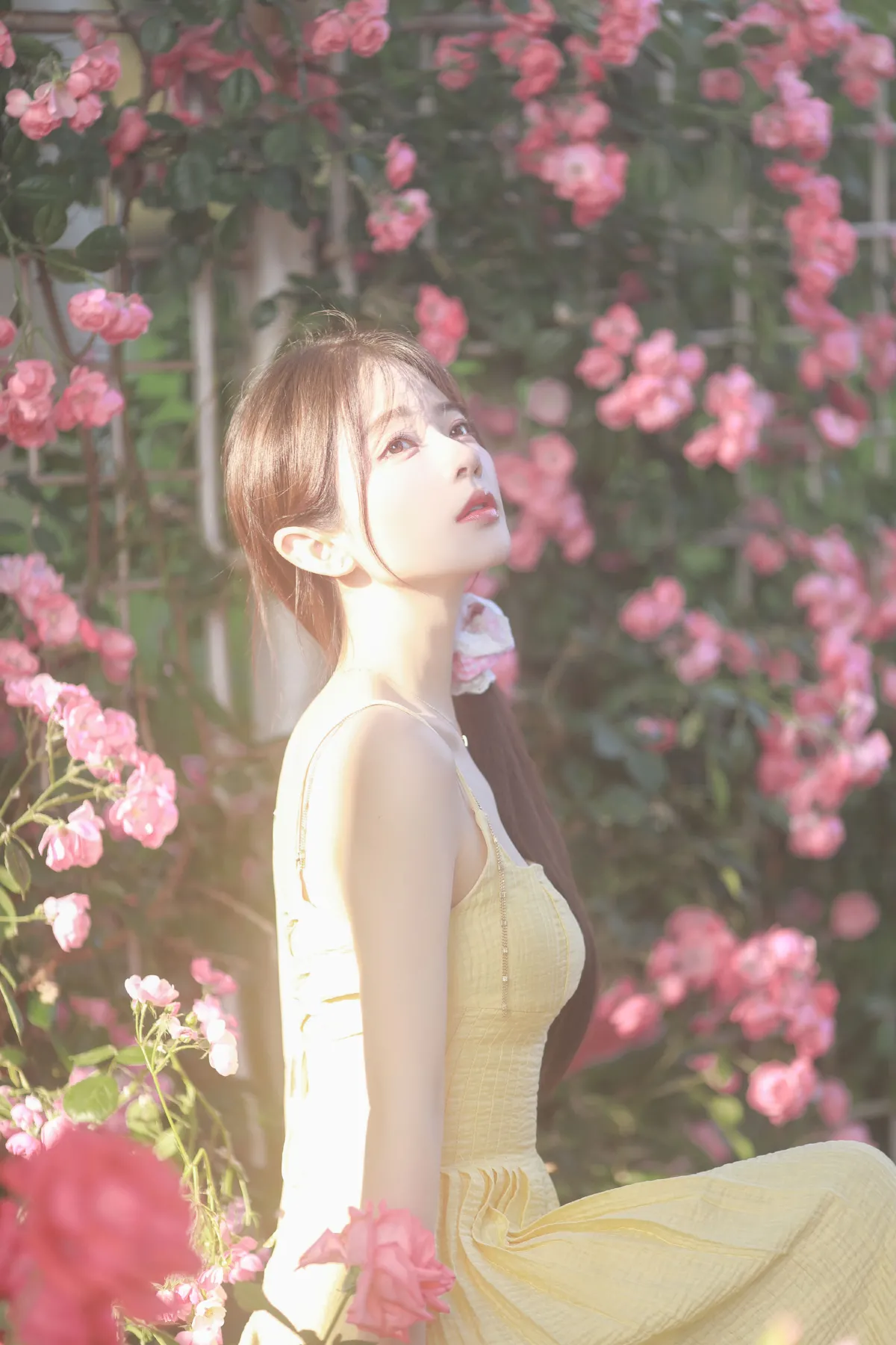 莫奈花园3