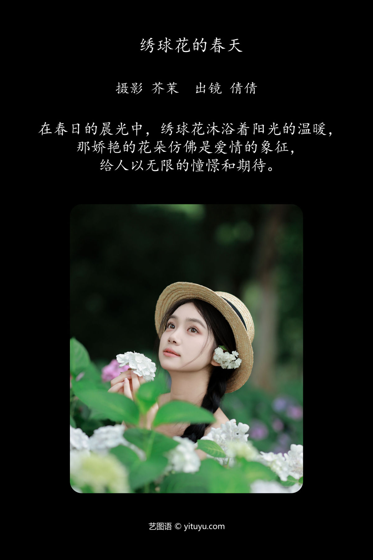 芥茉_我不刷鸟《绣球花的春天》美图作品图片2