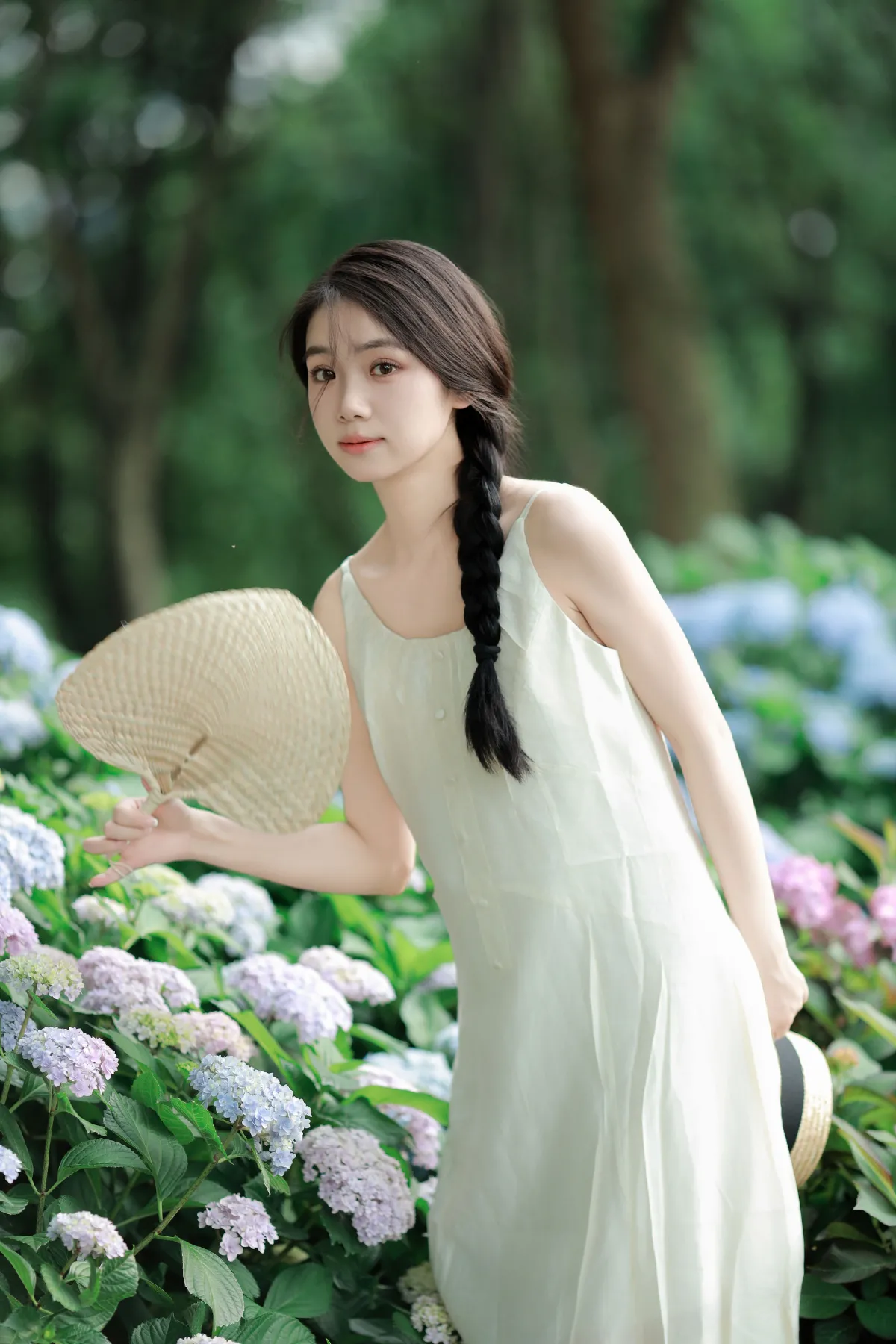 绣球花的春天1