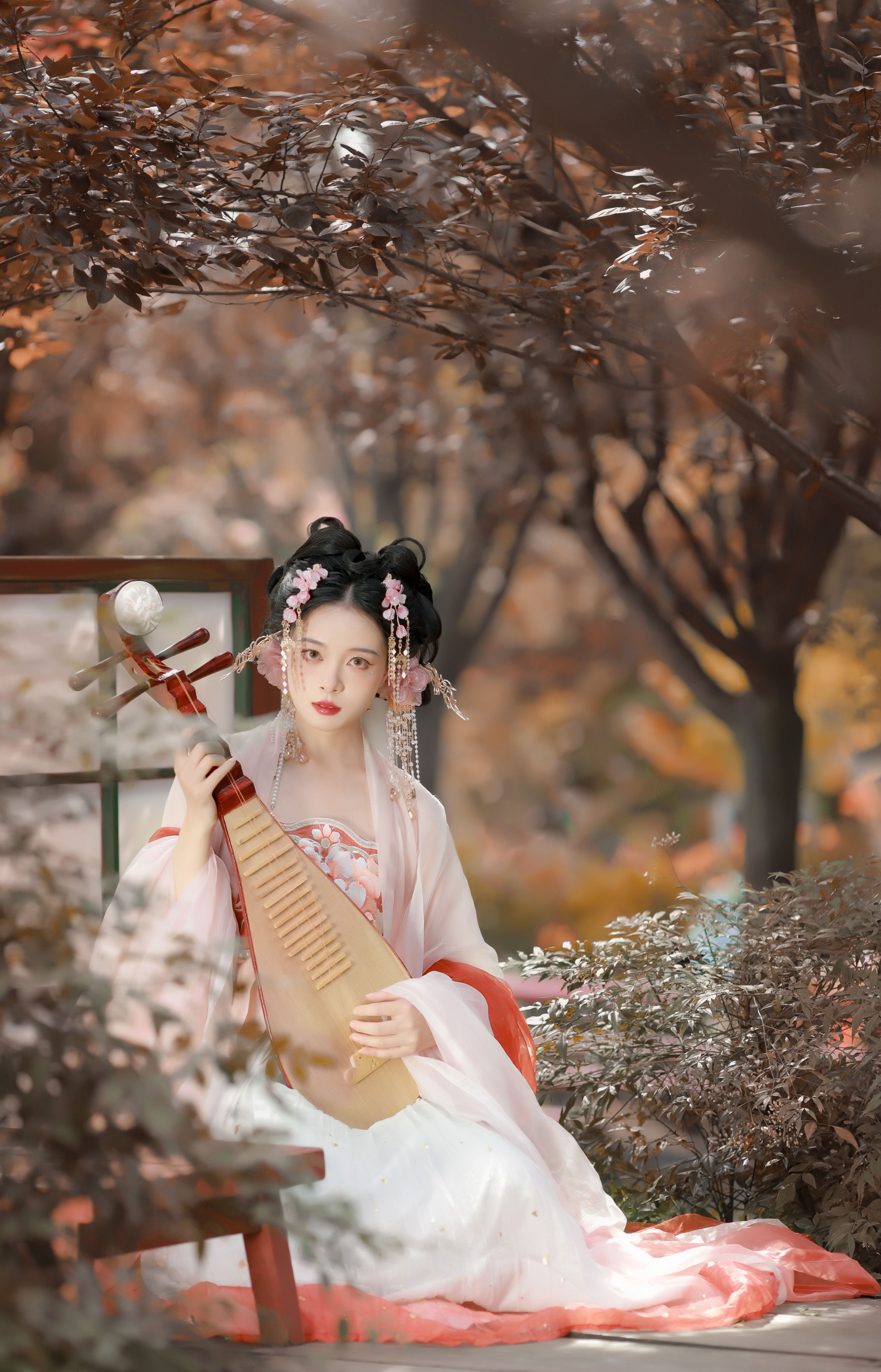 枫1