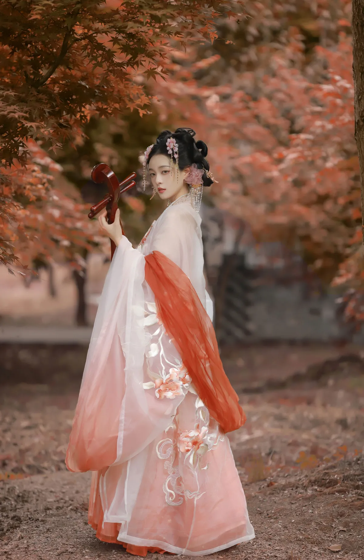枫4