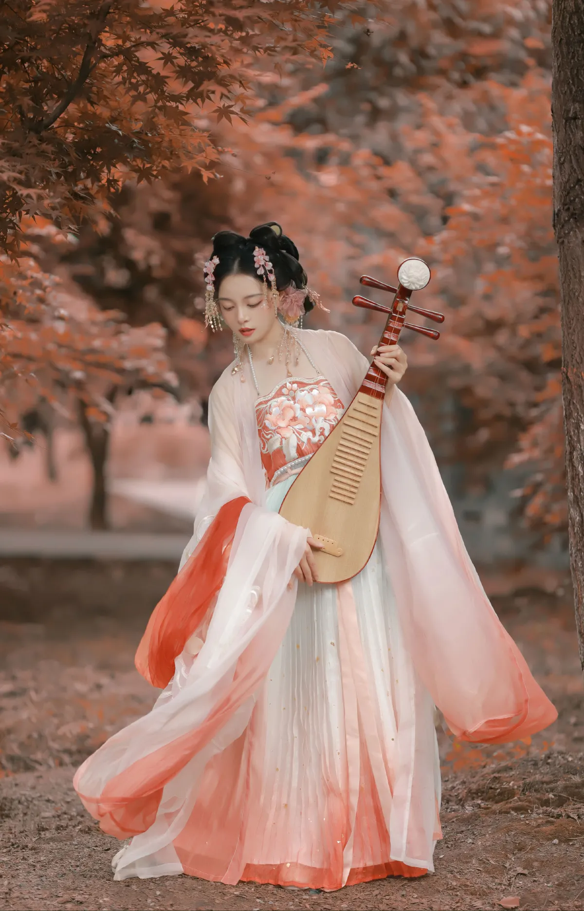 枫5