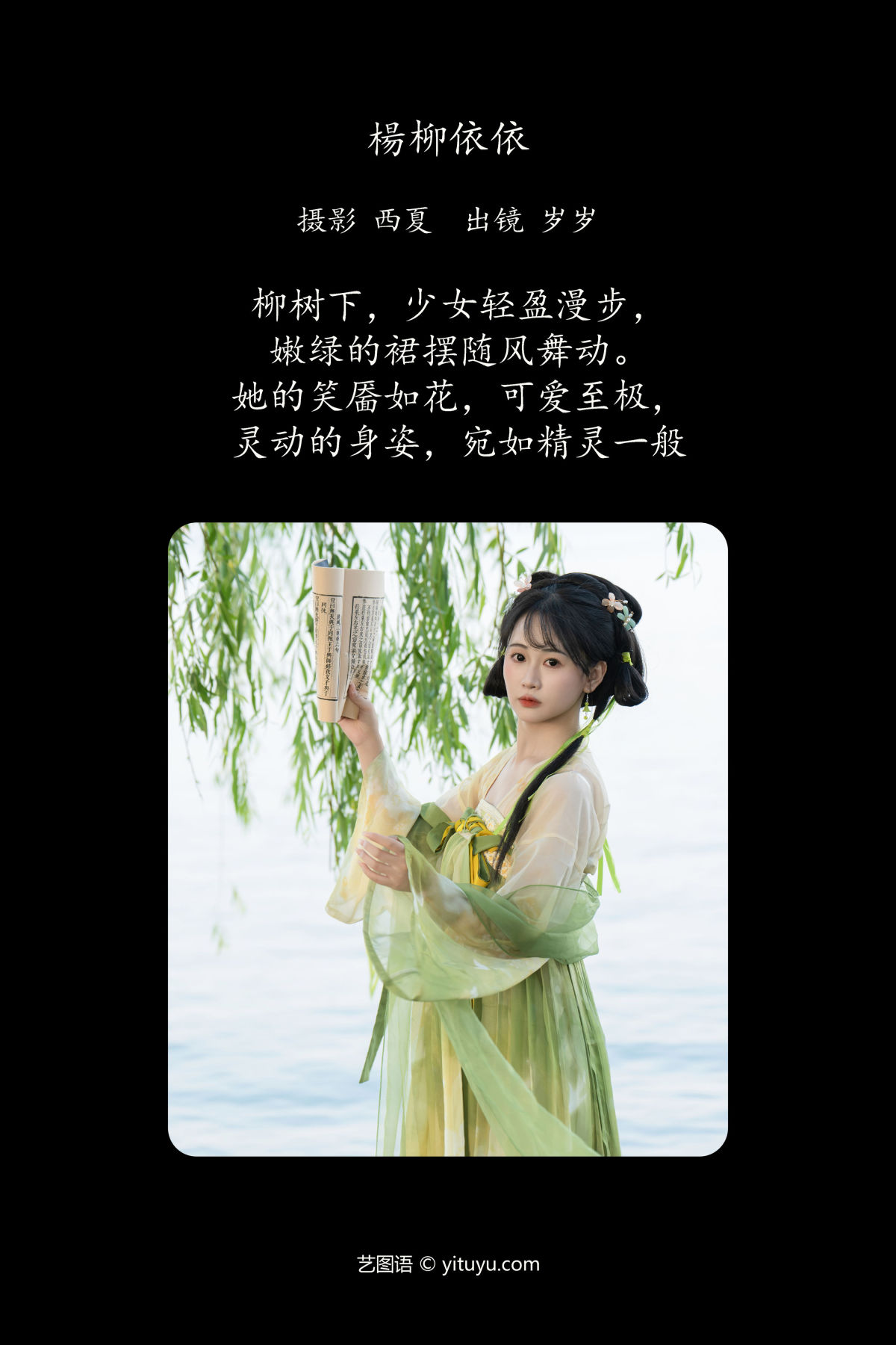 西夏_湫一只岁岁《杨柳依依》美图作品图片2