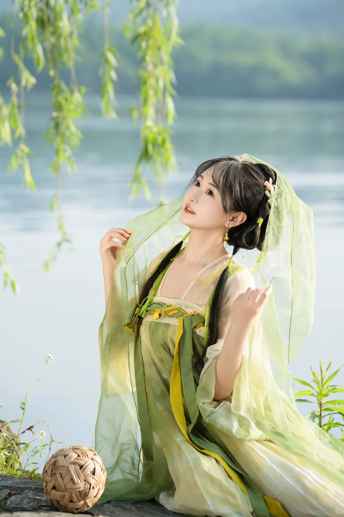 杨柳依依2