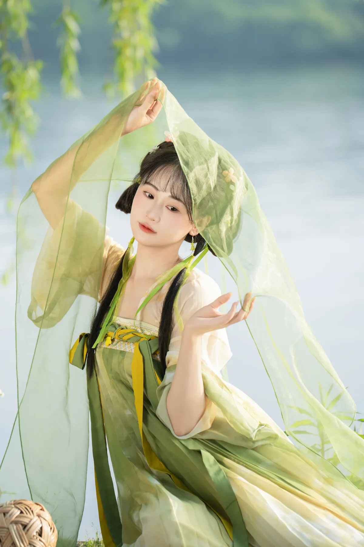 杨柳依依