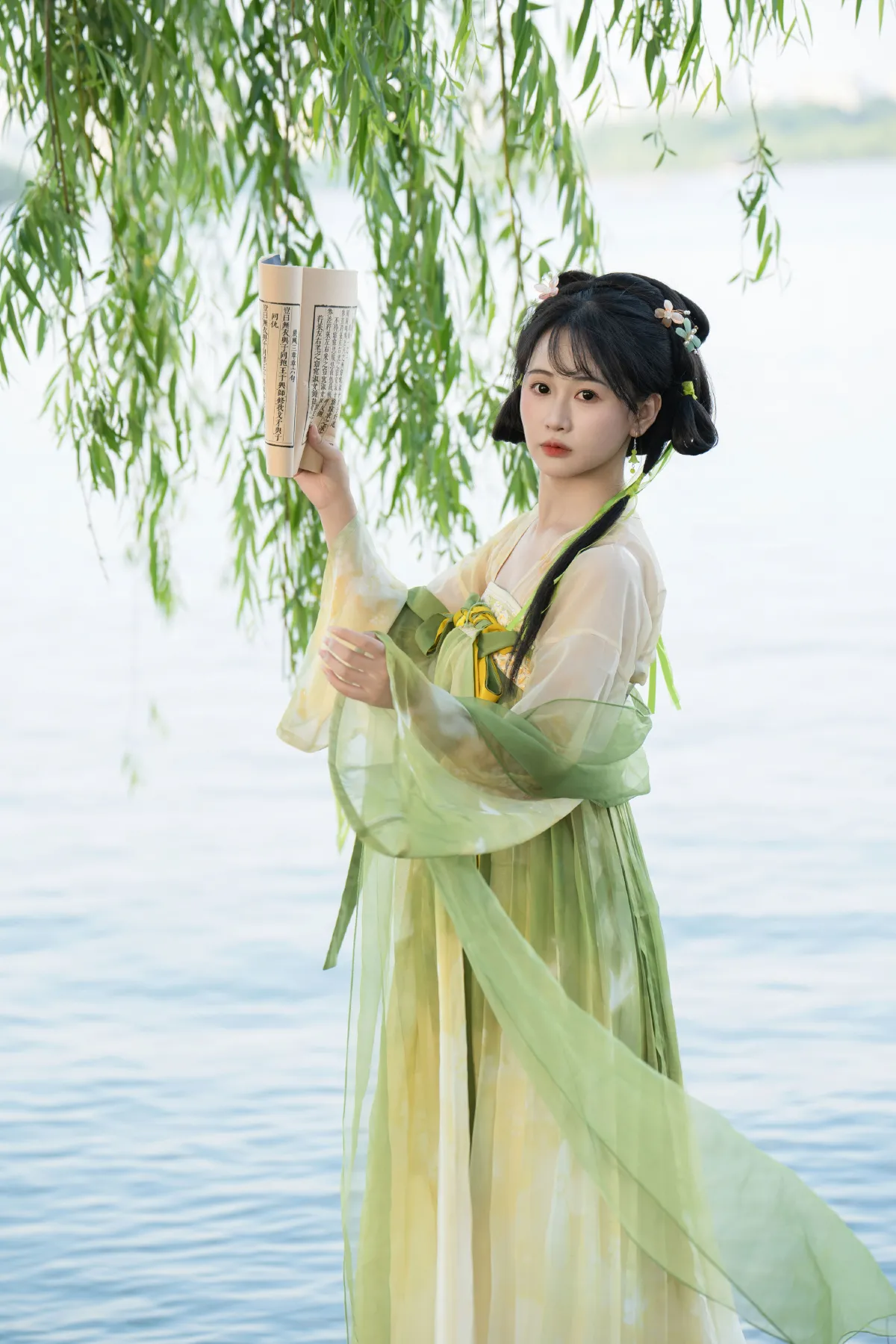 杨柳依依