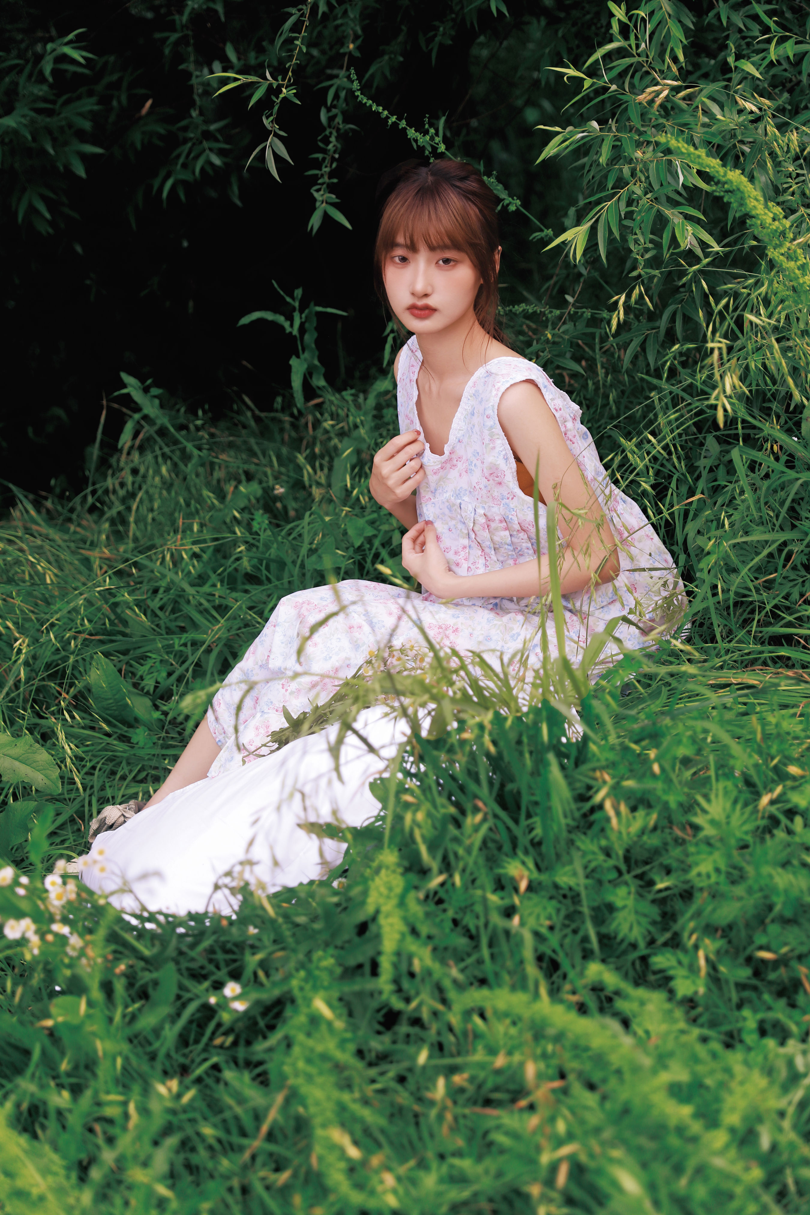格桑花女孩