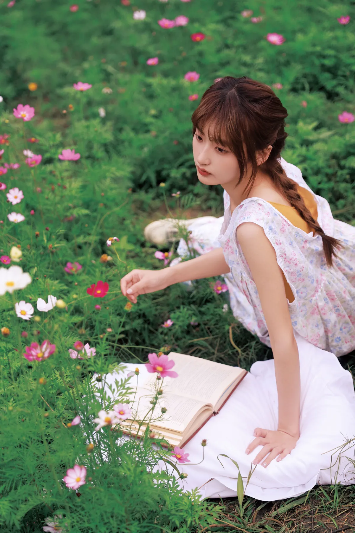 格桑花女孩