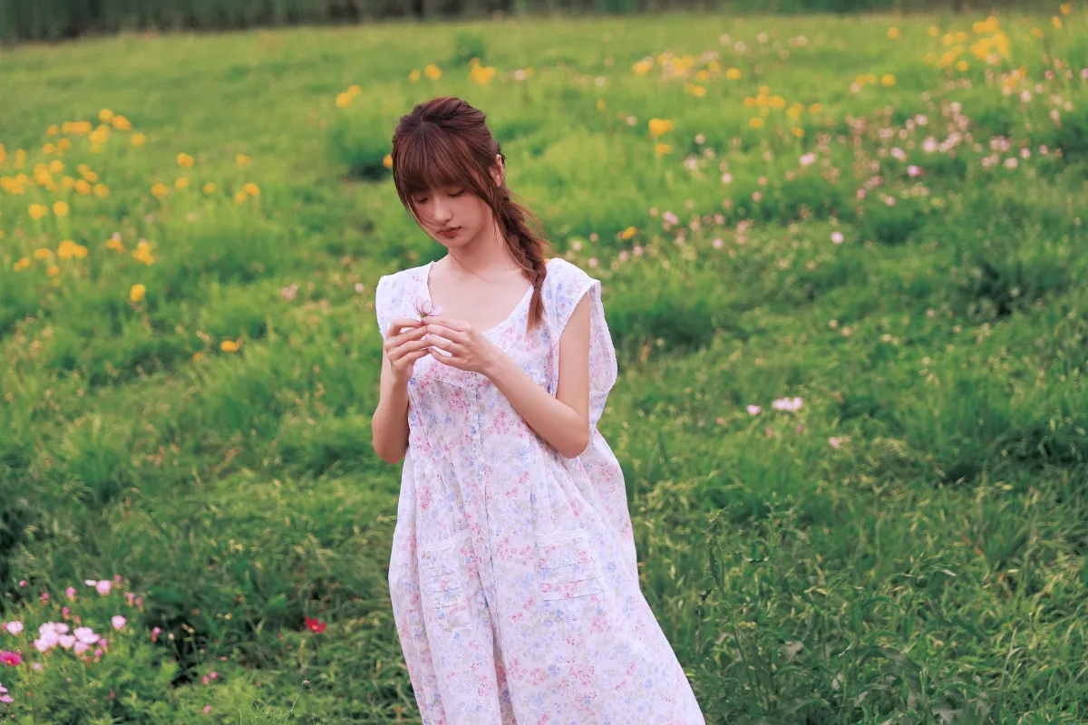 格桑花女孩