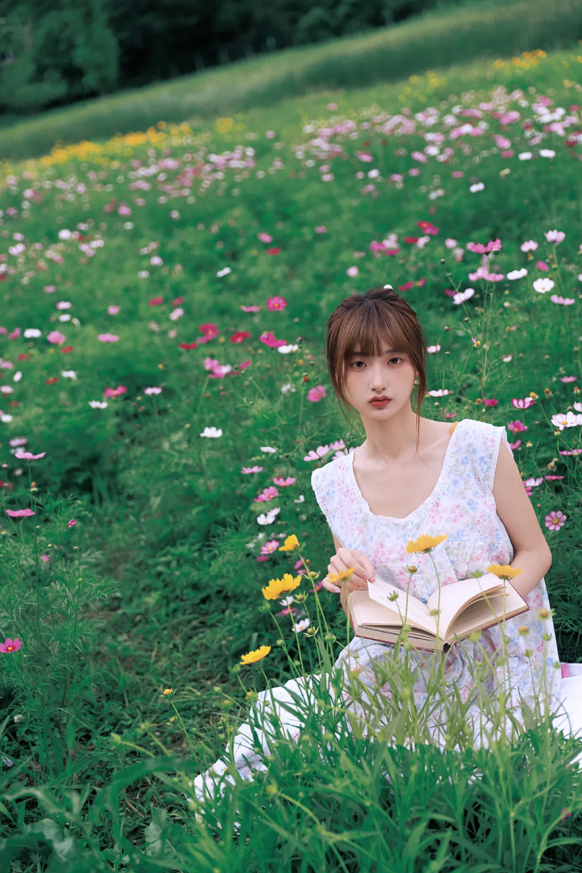 格桑花女孩