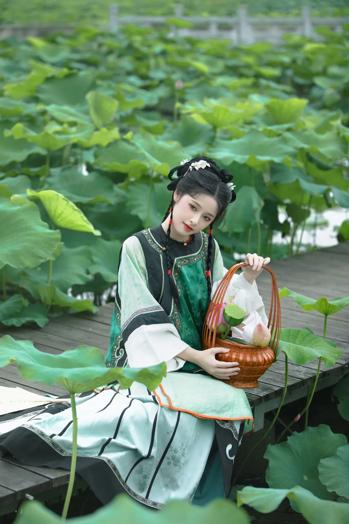 菡萏香2