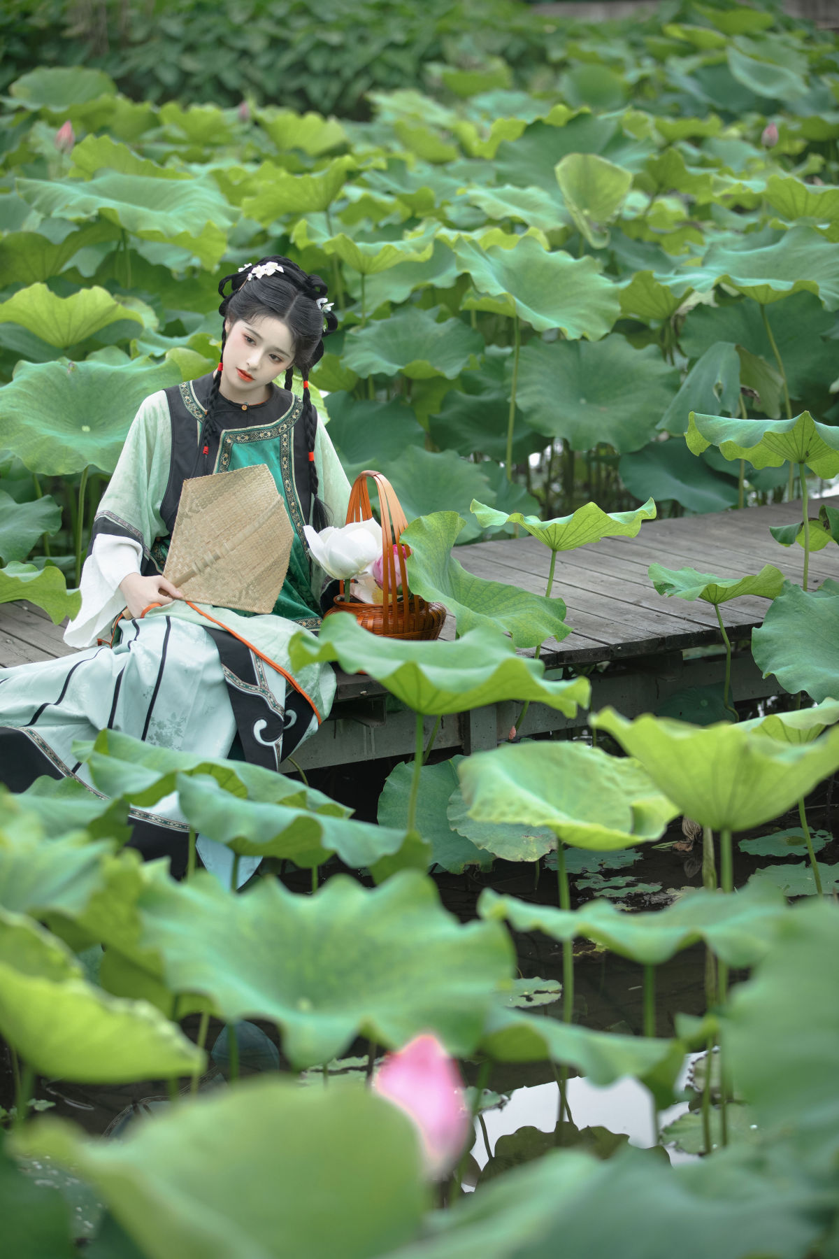 連翹_____恬恬圈圈《菡萏香》美图作品图片3