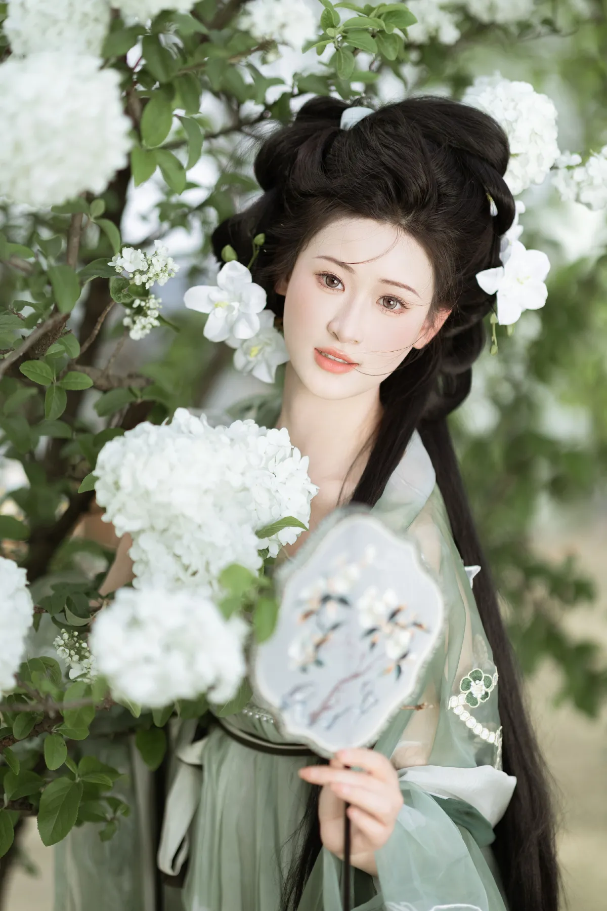 玉绣球花