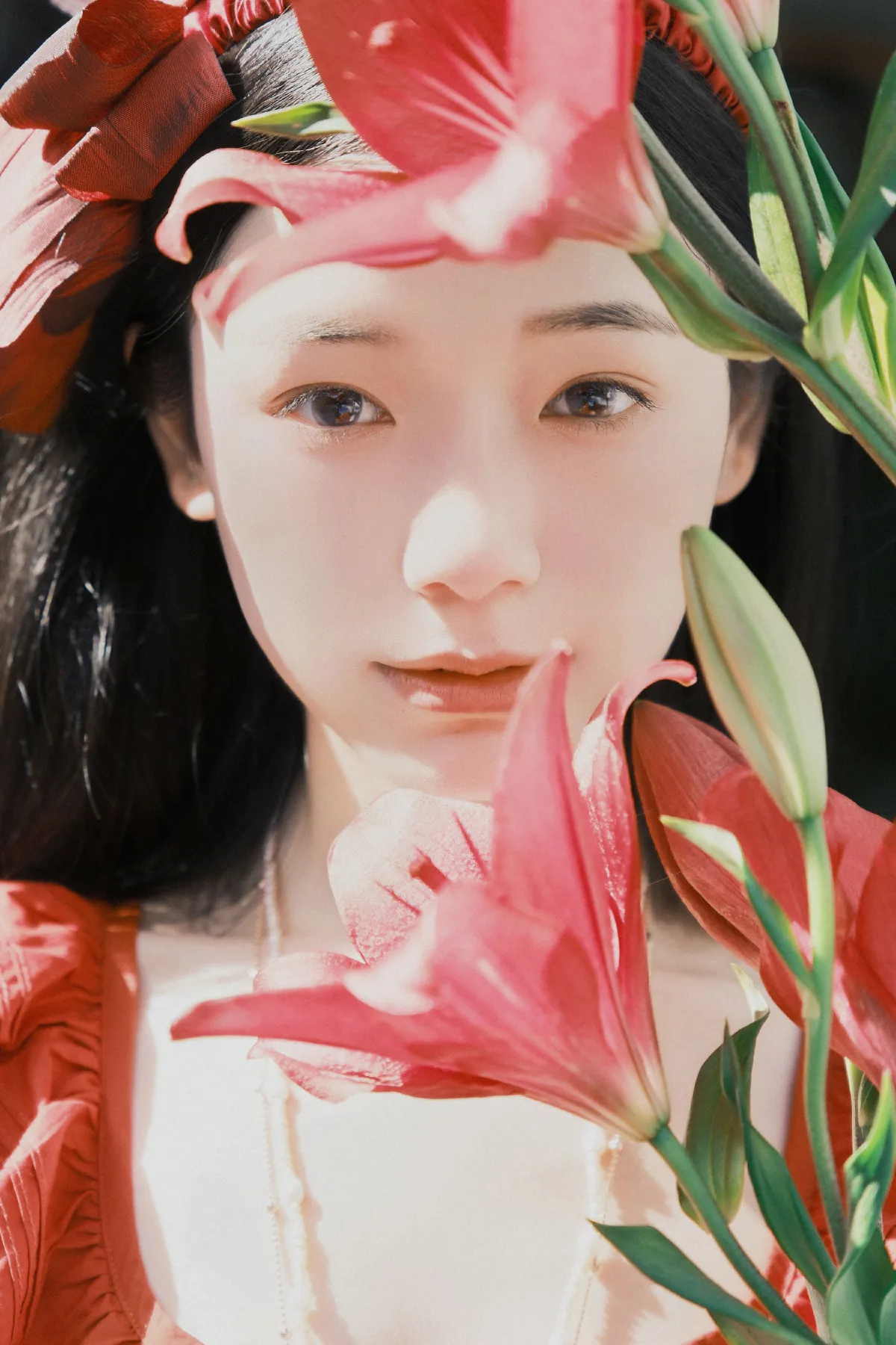 红宝石花开