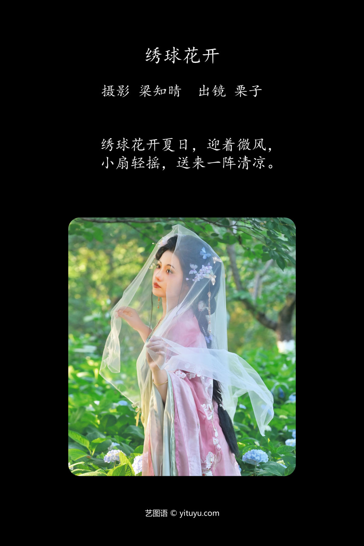 梁知晴_一只偷懒的栗栗《绣球花开》美图作品图片2