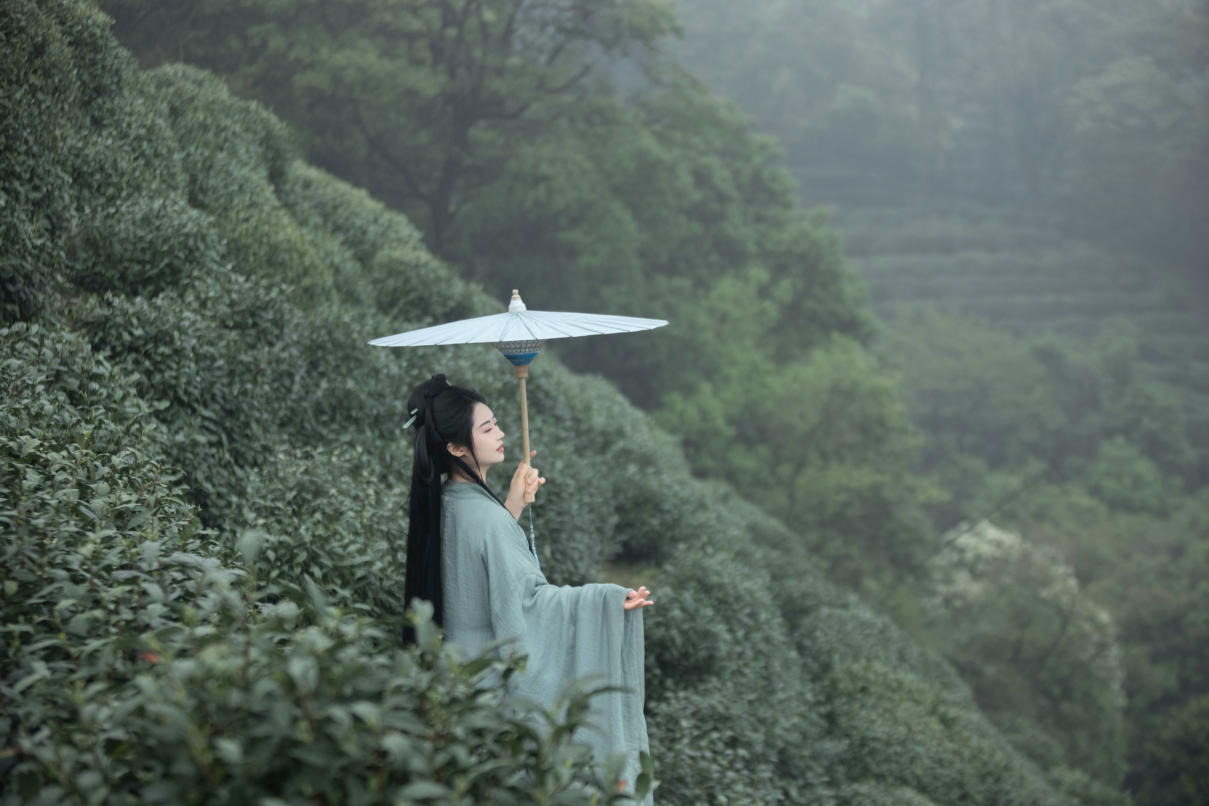 明前绿