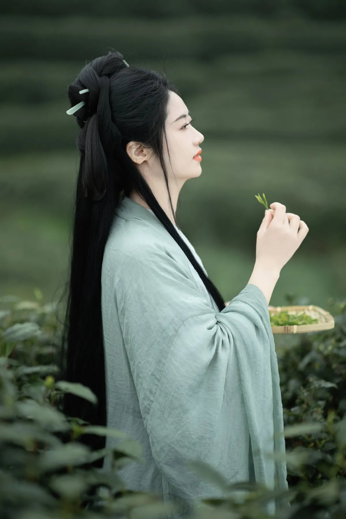 明前绿