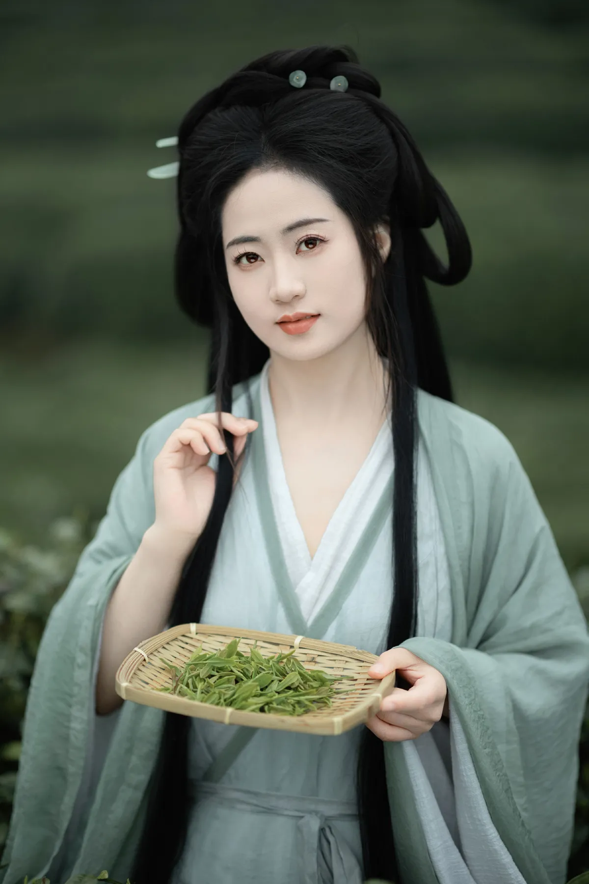 明前绿