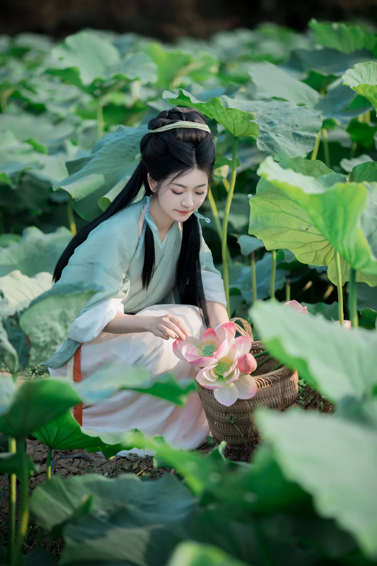 采荷