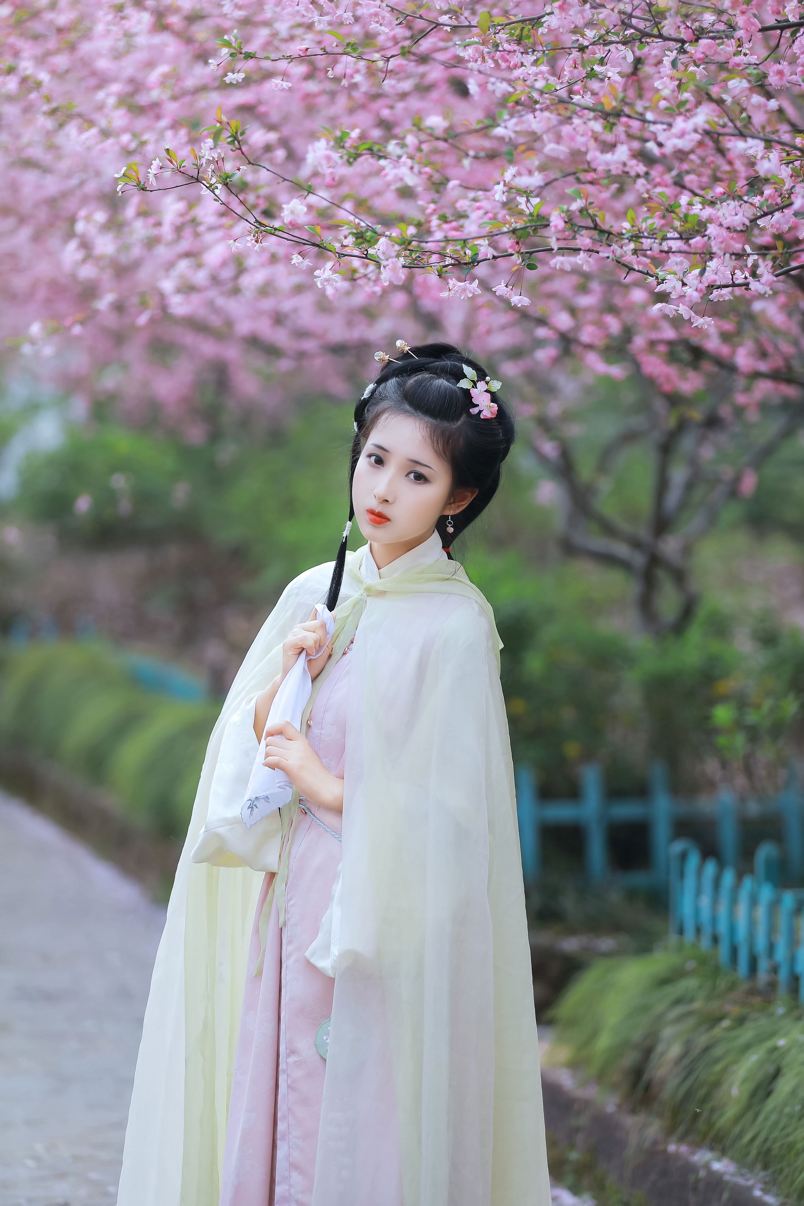 葬花吟