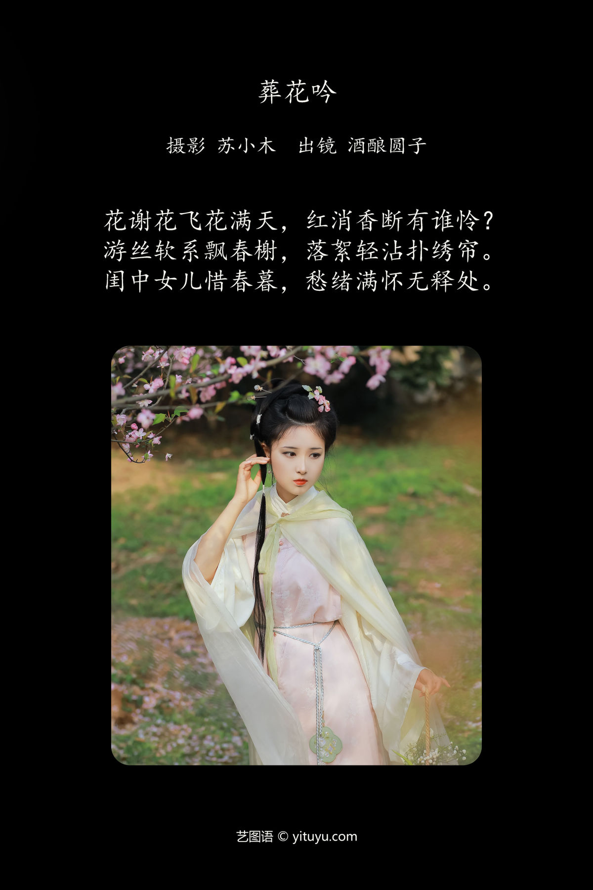 苏小木_酒酿圆子《葬花吟》美图作品图片2