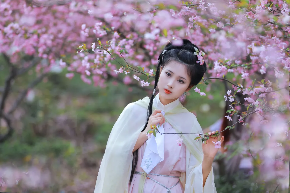 葬花吟