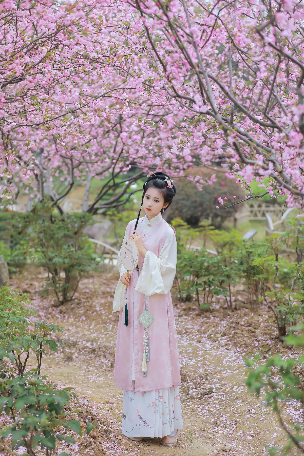 葬花吟