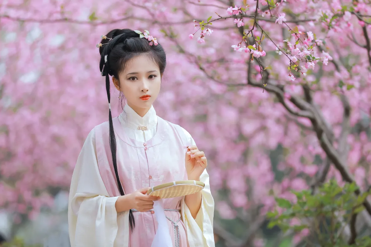 葬花吟