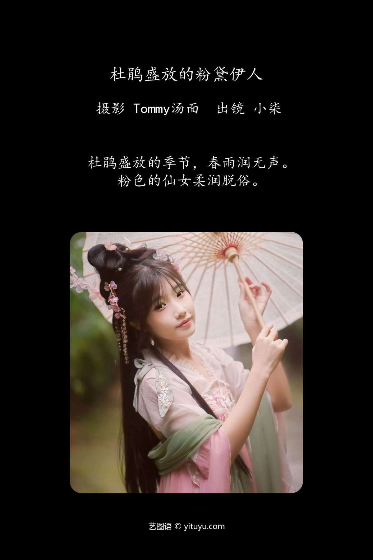 Tommy汤面_小柒《杜鹃盛放的粉黛伊人》美图作品图片2