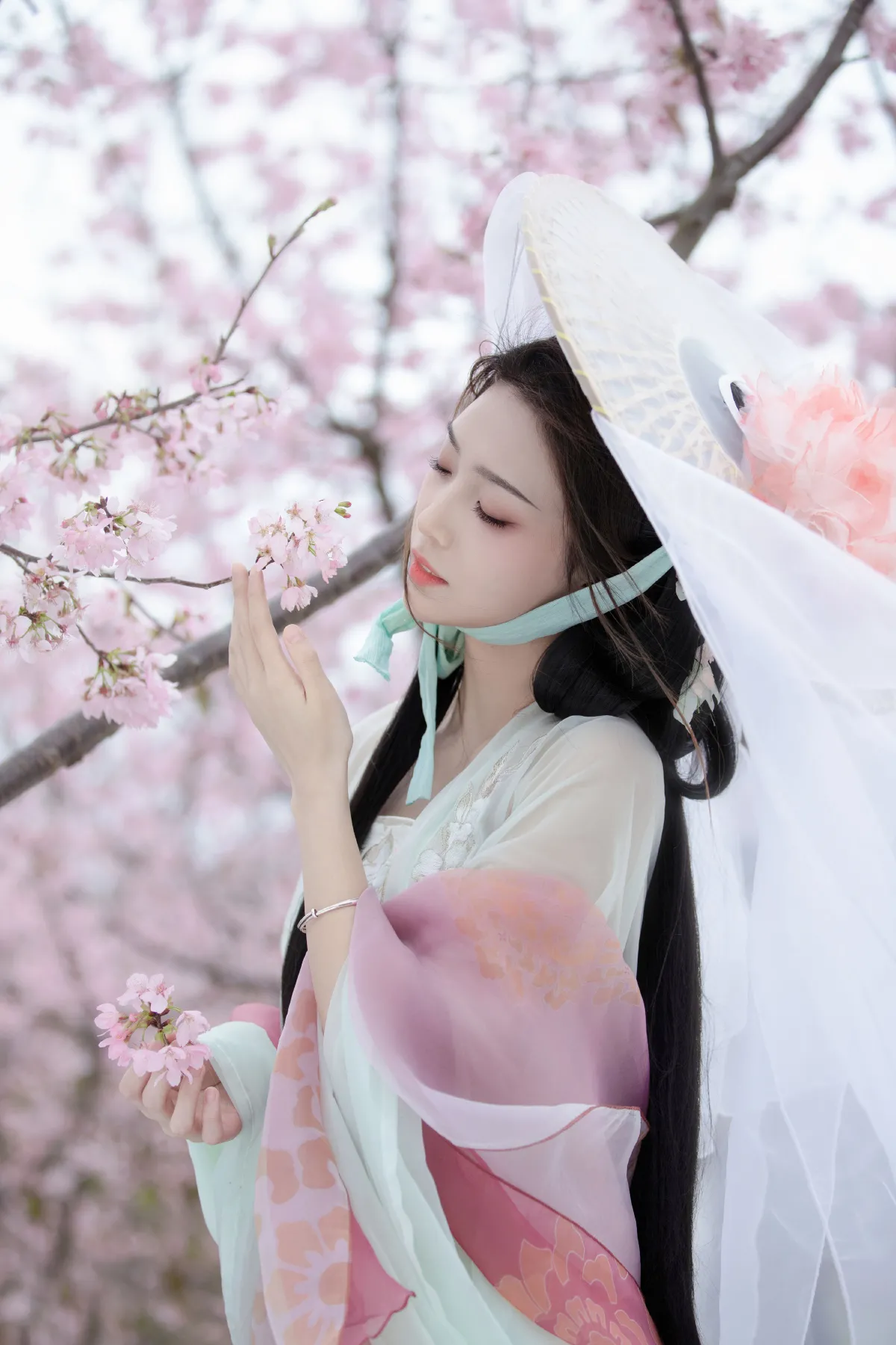 阳春曲2