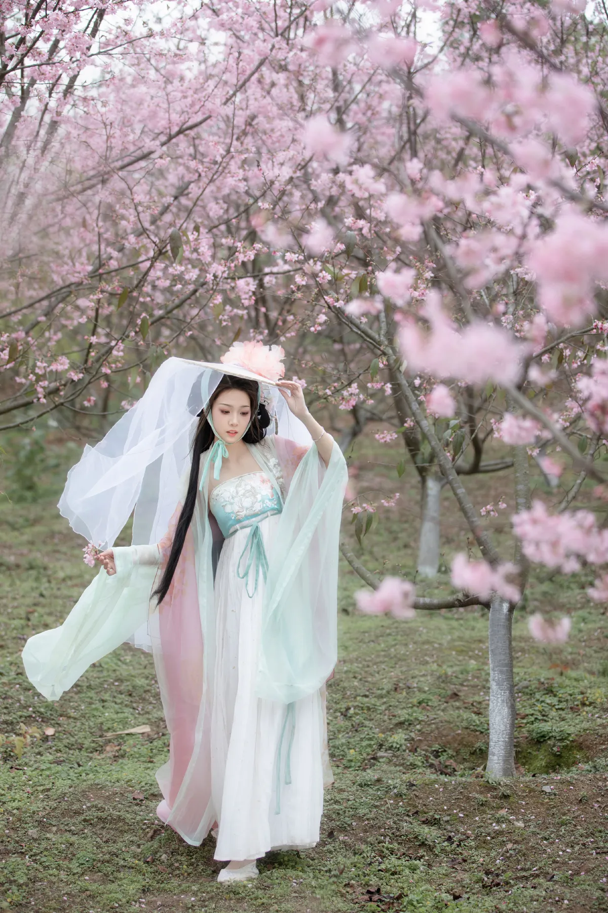 阳春曲